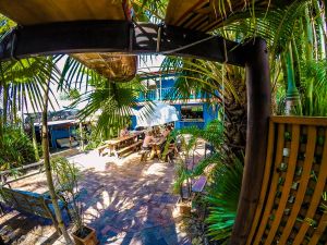 Cool Bananas Backpackers - Accommodation Hamilton Island