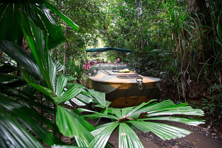 Kuranda Rainforestation Nature Park Ticket (BNP) - Accommodation Hamilton Island